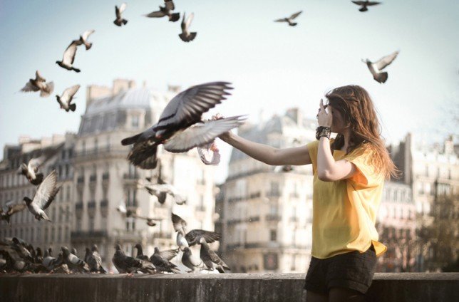 Maecenas laoreet bibendum eros