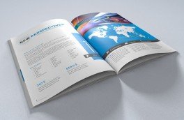 Vestibulum Fermentum